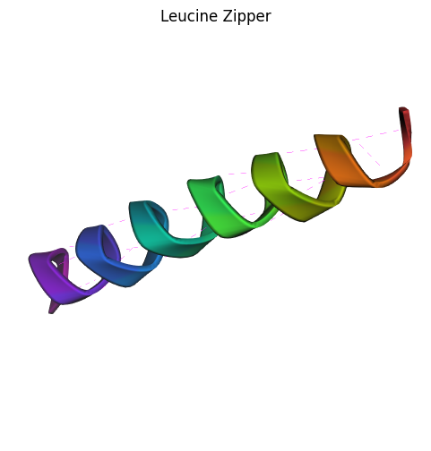 Leucine Zipper Example