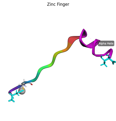 Zinc Finger Example